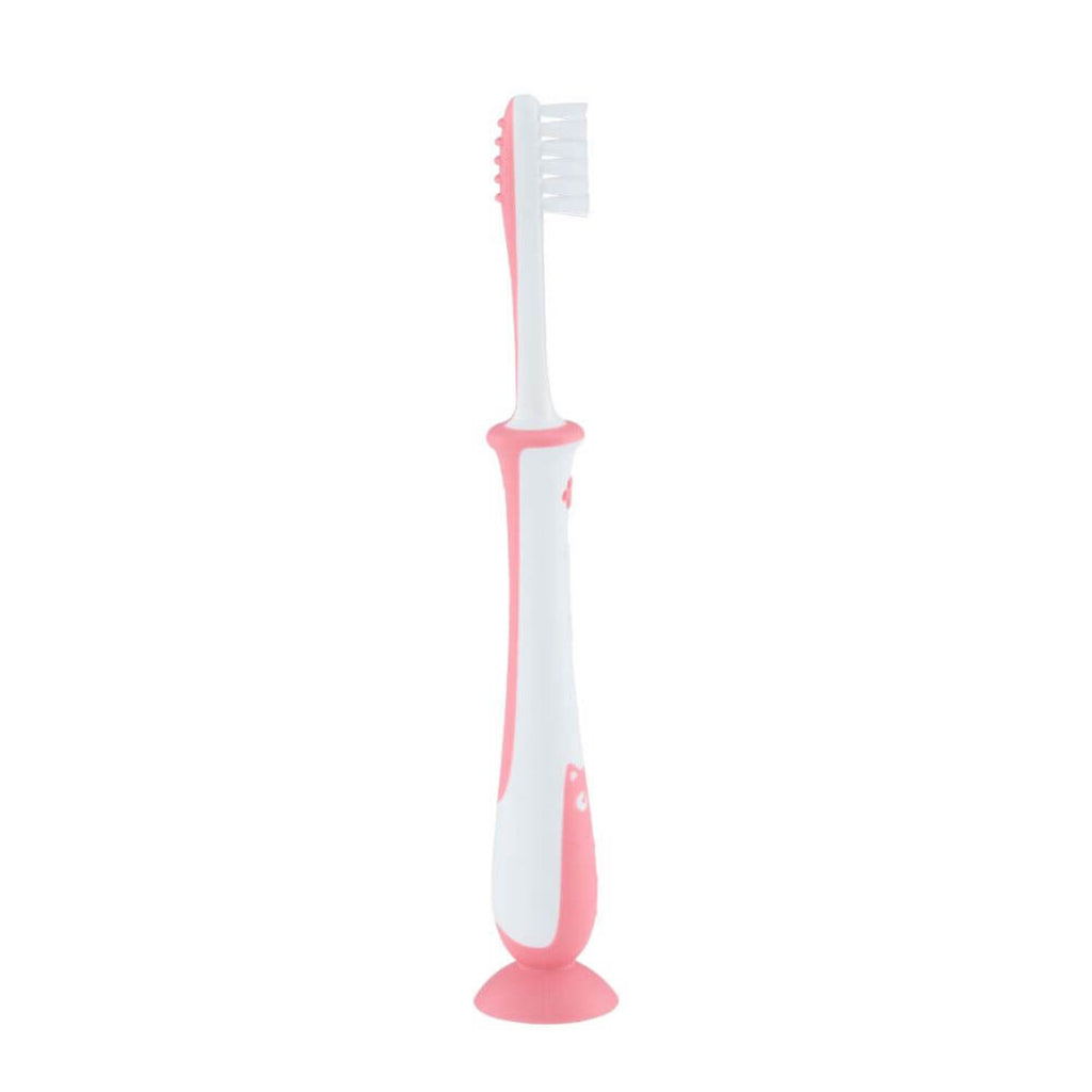 Cepillo Dental aprendizaje etapa-4
