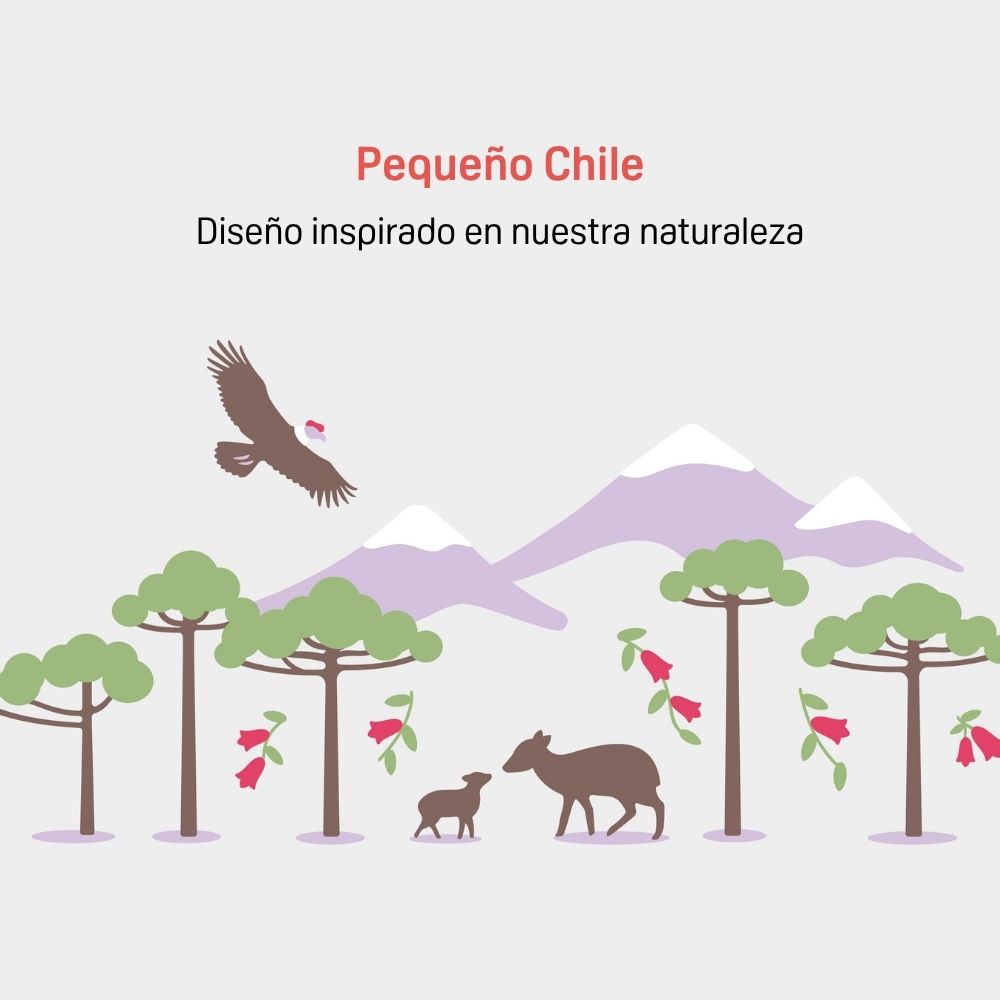 Mamadera PPSU "Pequeño Chile 2" SofTouch Pigeon 31212