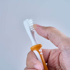 Cepillo Dental De Aprendizaje Naranjo  Paso 2